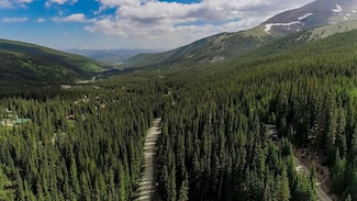 156 Cr 674, Breckenridge, CO 80424