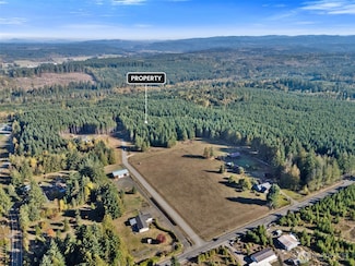 140 Vetter Ln, Onalaska, WA 98570