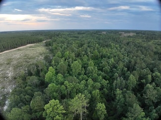 S S Old Reidsville Rd, Twin City, GA 30471