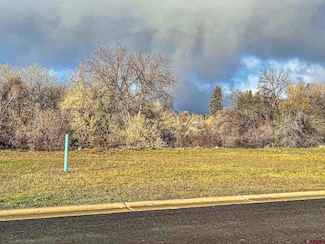 520 SE Stonebridge Dr, Cedaredge, CO 81413