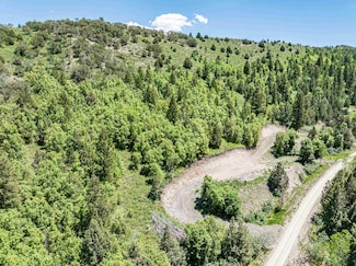 TBD S Racoon Dr, Lava Hot Springs, ID 83246