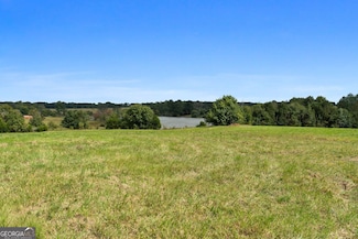 61 ACRES Barnesville Hwy, the Rock, GA 30285