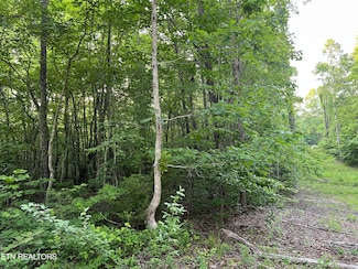 0 Carson Town Rd Unit 1303494, Sunbright, TN 37872