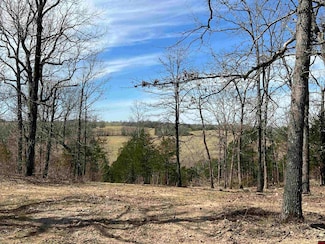 001-06967-000 Berry Knob Ln, Salem, AR 72576