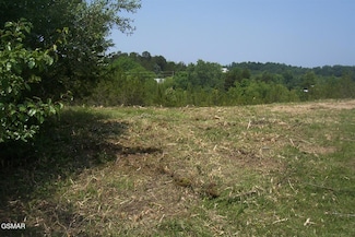 Lot 79 Blue Herring Way, Sevierville, TN 37876