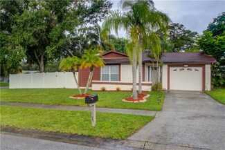804 Grenoble Dr, Palm Harbor, FL 34684