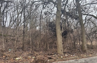 Lot 27, Block 1 Vaca Fairview Ave, Joliet, IL 60432