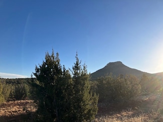 2.24 Acres Camino Al Cielo, Serafina, NM 87569