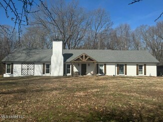 8280 Star Landing Rd, Lake Cormorant, MS 38641