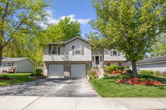 895 Meadowbrook Rd, Elwood, IL 60421
