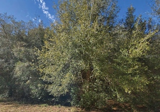 0 Maltas Ave Unit MFRO6321768, Interlachen, FL 32148
