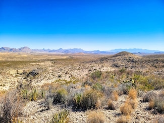 104 Tanque Caballo, Terlingua, TX 79852