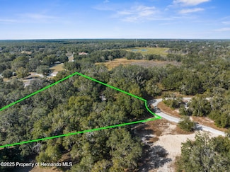 4160 S Kenvera Loop, Inverness, FL 34450