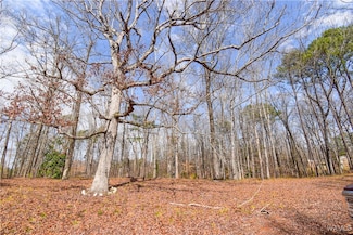 0 Colonial Dr, Duncanville, AL 35456