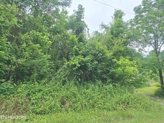 274 Laurel Mountain Loop, Madisonville, TN 37354