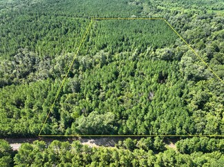 TBD Sam Booker Rd, South Mansfield, LA 71052