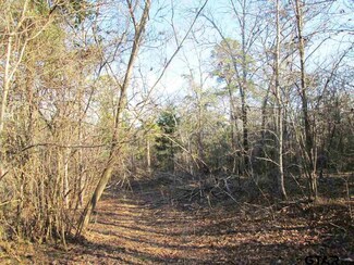 Tr 1 Tr 1 Willow Creek Ranch Rd, Gladewater, TX 75647