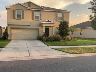 10019 Crested Fringe Dr, Riverview, FL 33578