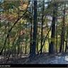 LOT 2635 Garnet Dr, Ellijay, GA 30540