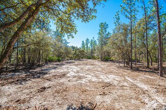 LOT 13 Steel Bridge Rd, MacClenny, FL 32063