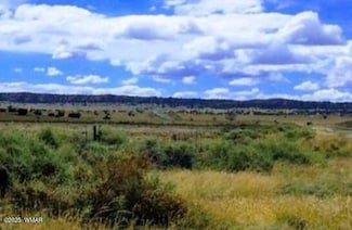 0 Bell Brand Ranches Lot 115 Unit 258518, Sanders, AZ 86512