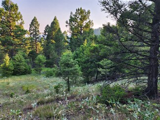 60 and 63 Moonrise Rd, Drummond, MT 59832