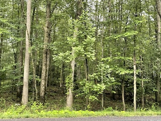 1 Lafayette Ave, Tamaqua, PA 18252