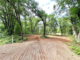 27728 295th St, Holcombe, WI 54745