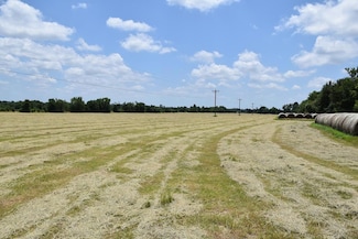 00 Acr 460, Palestine, TX 75803