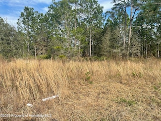 18061 Necklace Warbler Ave, Weeki Wachee, FL 34614