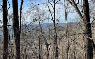 LT 73 Hidden Treasure Estate, Murphy, NC 28906