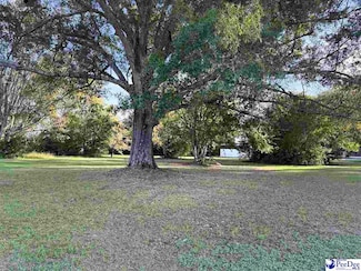 920 E Godbold St, Marion, SC 29571