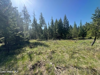 NKA Backroads Way Lot 2, Priest River, ID 83856