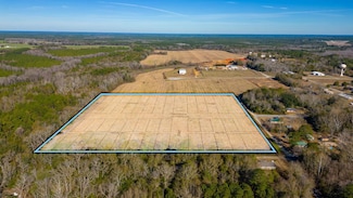 56 Lots Tenth St, Florala, AL 36442