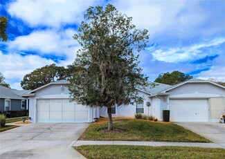 11941 Loblolly Pine Dr, New Port Richey, FL 34654