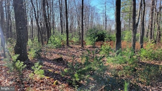 0 Deer Creek Rd, Morrisdale, PA 16858