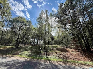 1A County Road 1123, Vinemont, AL 35179