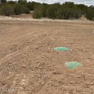 3933 Hidden Ranch Rd Unit 56, Snowflake, AZ 85937