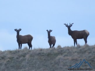 0 Indian Creek Rd, Townsend, MT 59644