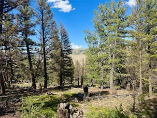 Lot 223 Middle Fork Vista, Fairplay, CO 80440