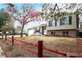 4835 S Braun St, Morrison, CO 80465