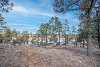 1804 E Desert Mimosa Dr, Payson, AZ 85541