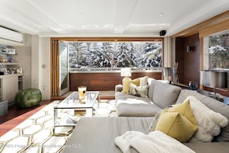 600 E Main St Unit 210, Aspen, CO 81611