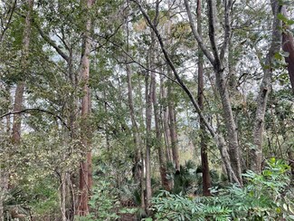 628 NE 15th Terrace, Gainesville, FL 32641