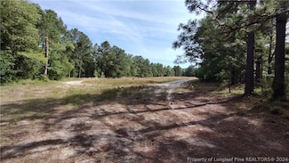 TBD Cypress Church Rd, Cameron, NC 28326