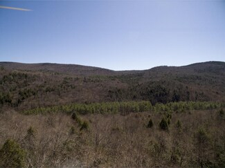 00 Cole Pond Rd, Jamaica, VT 05343