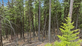 388 Coyote Ridge Pass, Fortine, MT 59917