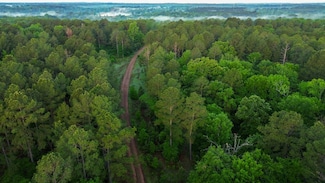 820 Henderson School House Rd, Marshall, TX 75670