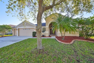 13719 Artesa Bell Dr, Riverview, FL 33579