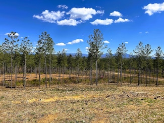 Tract 26a Hughes Lake Rd SE, Cleveland, TN 37323